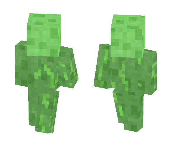 The Slimechunk - Other Minecraft Skins - image 1