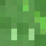 The Slimechunk - Other Minecraft Skins - image 3
