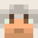 Altair {Asassin's Creed} - Male Minecraft Skins - image 3