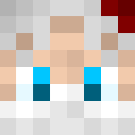 Santa Claus - Male Minecraft Skins - image 3