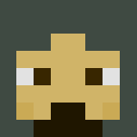 Dunedain Ranger - Male Minecraft Skins - image 3