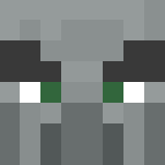 Illager - Male Minecraft Skins - image 3