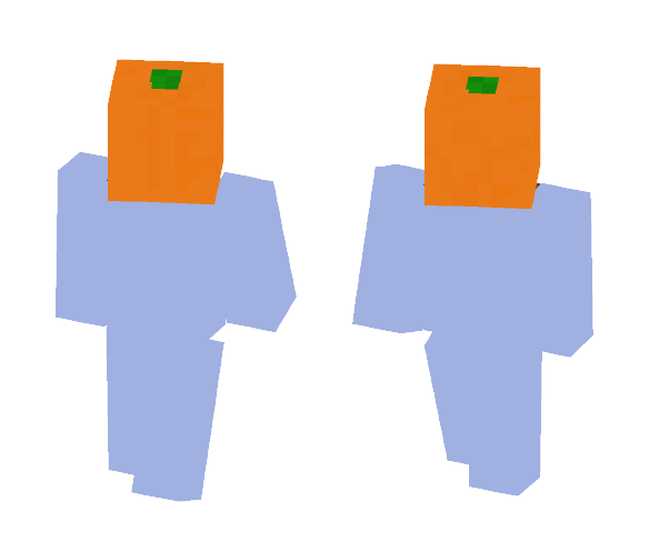 Orange - Other Minecraft Skins - image 1