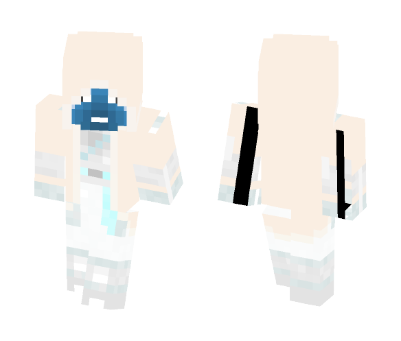 Anti-ssassin - Other Minecraft Skins - image 1