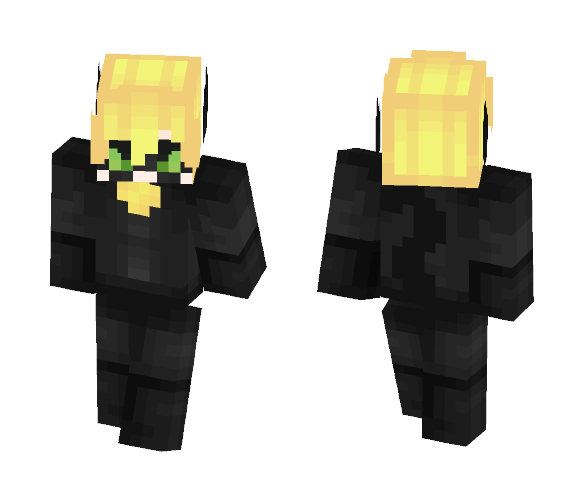 Chat Noir - Male Minecraft Skins - image 1