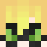 Chat Noir - Male Minecraft Skins - image 3