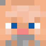 Old Timer Steve - Male Minecraft Skins - image 3