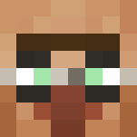 The Villager Of The Strange Earth - Interchangeable Minecraft Skins - image 3