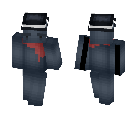 random v2 - Interchangeable Minecraft Skins - image 1
