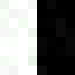 Black and white - Other Minecraft Skins - image 3