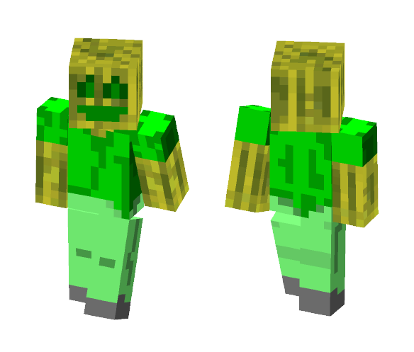 Chaosflo44 - Male Minecraft Skins - image 1