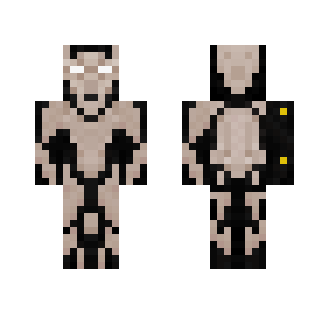 Bone Knight Assassin - Interchangeable Minecraft Skins - image 2