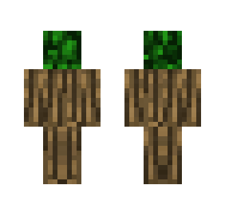 Leaves and Oak log
