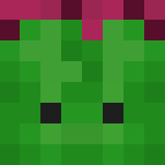 Cactus Man - Male Minecraft Skins - image 3