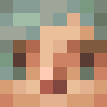 elf priate girl - Girl Minecraft Skins - image 3