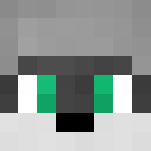 Raccoon Base Male - Male Minecraft Skins - image 3