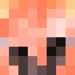 ◊Who Is It?¿◊ - Interchangeable Minecraft Skins - image 3