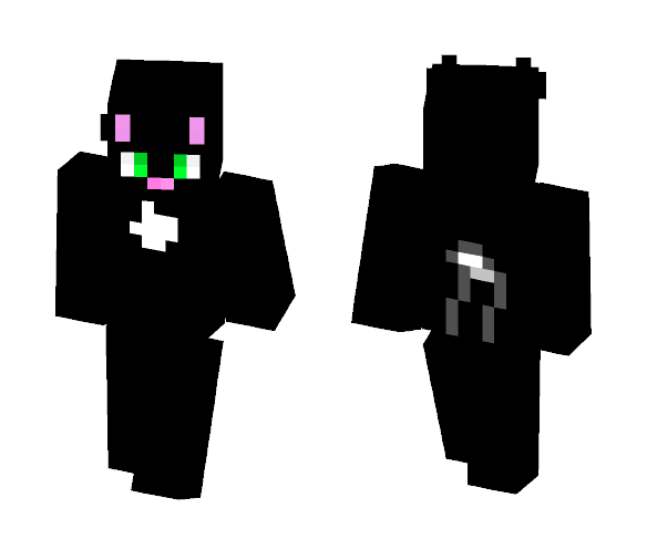 Ravenpaw from Warrior Cats - Male Minecraft Skins - image 1