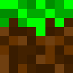 Grass Block - Interchangeable Minecraft Skins - image 3