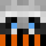 Holiday Raccoon Scarf ~Holloween~ - Interchangeable Minecraft Skins - image 3