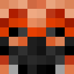 Plo koon - Male Minecraft Skins - image 3