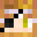 Foxy Altertale Asgore - Male Minecraft Skins - image 3