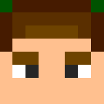 Buddy the Elf - Male Minecraft Skins - image 3