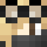 I'm really bad at naming things - Interchangeable Minecraft Skins - image 3