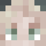 Cape + Fancy Dress - Female Minecraft Skins - image 3