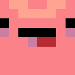 Pink Dolphin - Interchangeable Minecraft Skins - image 3