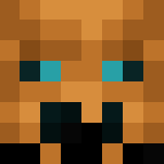 Golden Warrior - Interchangeable Minecraft Skins - image 3