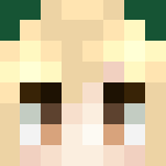 ✰ᙏìɗ✰ Female Link ~Reshade~ - Female Minecraft Skins - image 3