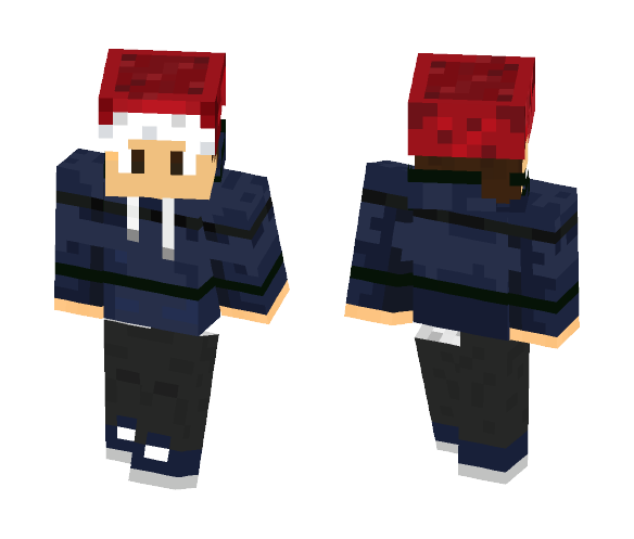 Christmas Has Past - Christmas Minecraft Skins - image 1