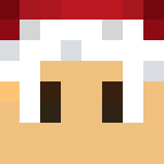 Christmas Has Past - Christmas Minecraft Skins - image 3