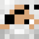 Old Pirate - Male Minecraft Skins - image 3