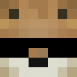 Pvp Tiger Mr.Dope - Male Minecraft Skins - image 3