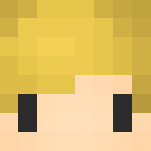 The Hero Of Hyrule - Male Minecraft Skins - image 3