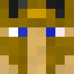Golden Paladin - Male Minecraft Skins - image 3