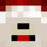 Christmas Polar Bear - Christmas Minecraft Skins - image 3