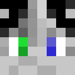 Follower of Decay (male warlord - Male Minecraft Skins - image 3