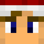 CHRISTMAS!!!! - Christmas Minecraft Skins - image 3
