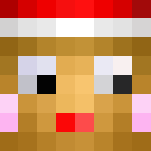 Gingerbread Person - Interchangeable Minecraft Skins - image 3