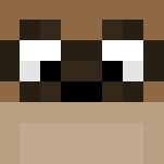 Rigby - Regular Show - Male Minecraft Skins - image 3