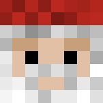 Christmas Santa - Christmas Minecraft Skins - image 3