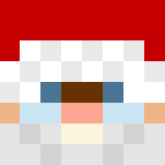 Santa Claus / Le Père Noël - Male Minecraft Skins - image 3