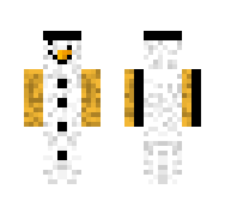 Snow Man - Other Minecraft Skins - image 2