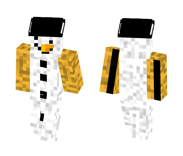 Snow Man - Other Minecraft Skins - image 1