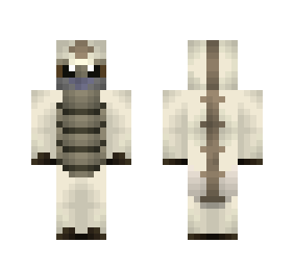 Appa - Male Minecraft Skins - image 2