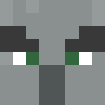 Illager Evoker (Steve Template) - Other Minecraft Skins - image 3