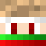 Christmas Ready - Christmas Minecraft Skins - image 3